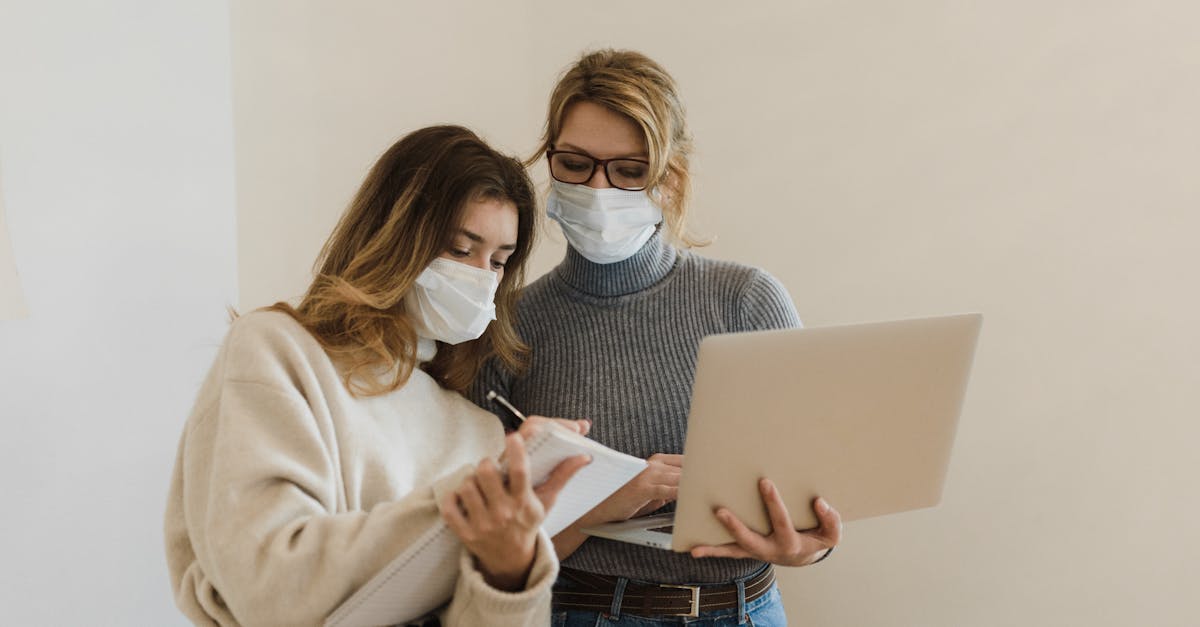 如何使用SEO优化网站流量